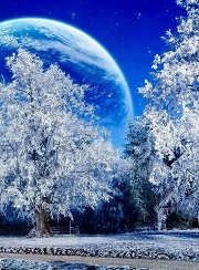 花好月圆人长久