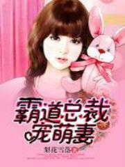 霸道总裁宠萌妻